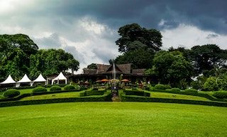 Raksasa-Raksasa di Kebun Raya Bogor, Sudah Pernah Melihatnya? Semuanya Bikin Kagum!