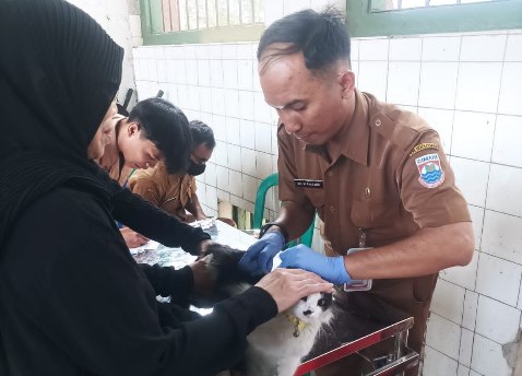 World Rabies Day Hadirkan Layanan Vaksinasi Gratis Hingga Kebiri Kucing Jantan