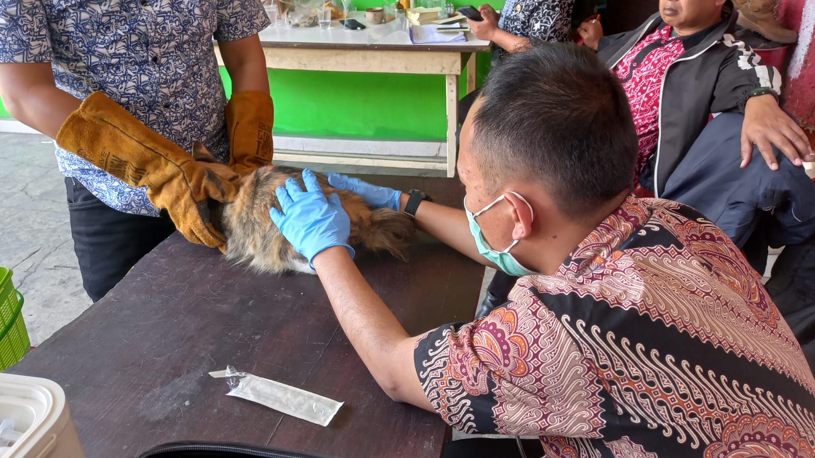 Pemkot Cimahi Targetkan 1.600 Dosis Vaksinasi Rabies dan Flu Burung Tahun ini