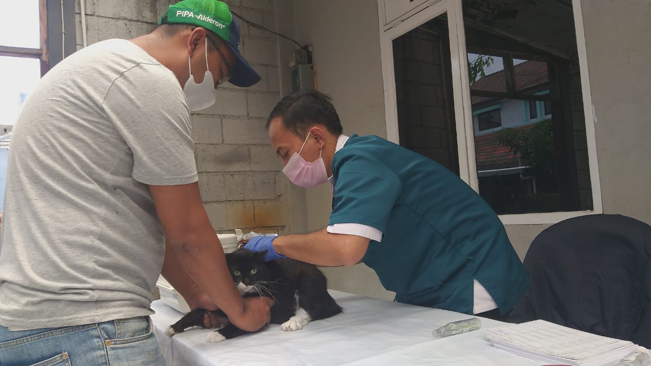 Vaksinasi Rabies Dan Flu Burung Di 15 Kelurahan Mulai Digelar Dispangtan Kota Cimahi