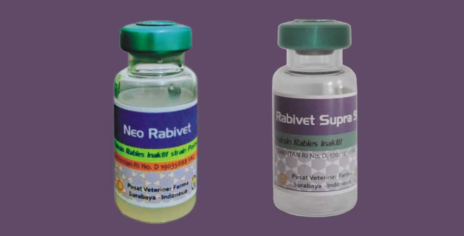 Pemkot Cimahi Siapkan Ribuan Dosis Vaksin Rabies dan Flu Burung Gratis Tahun ini