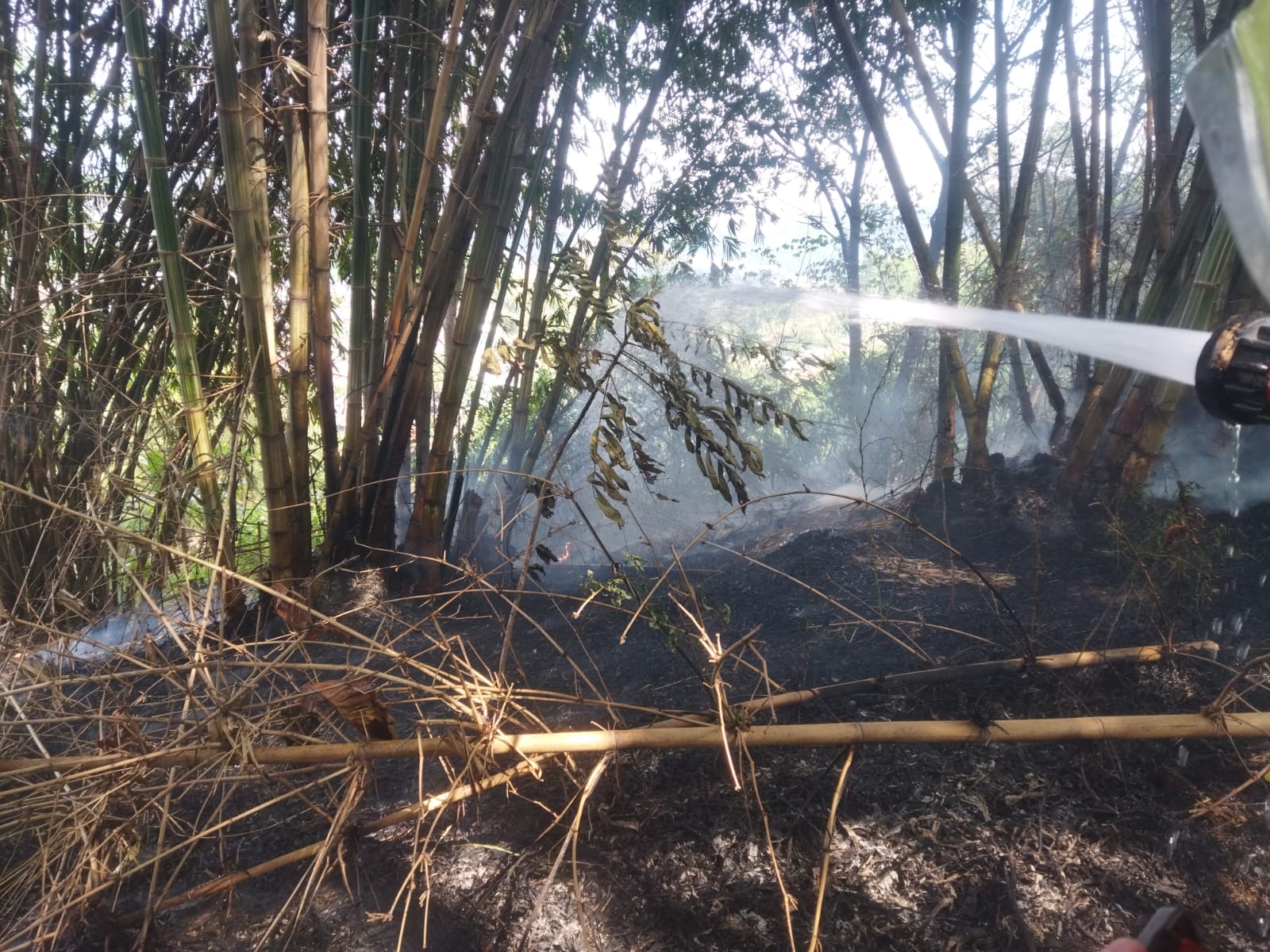 Lahan Kering Terbakar Saat Kemarau, Damkar Cimahi Minta Warga Tidak Buang Puntung Rokok Sembarangan