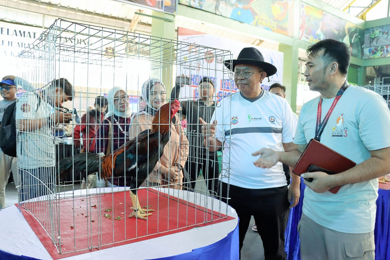 Cimahi Jadi Tempat Penyelenggaraan Shamo Expo 3, Ajang Sosialisasi Dan Silaturahim Komunitas Pecinta Ayam Hias Dan Reptil Kepada Masyarakat