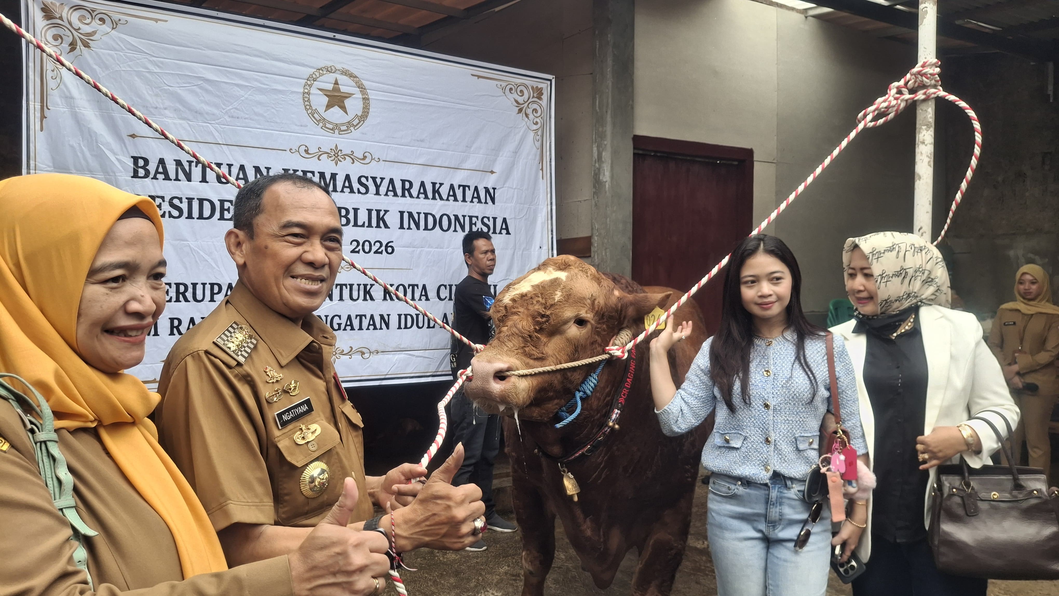Wali Kota Cimahi Cek Sapi Kurban Pesanan Presiden Prabowo