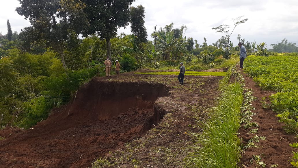 BPBD Kota Cimahi Tangani Kejadian Longsor Lahan Kebun