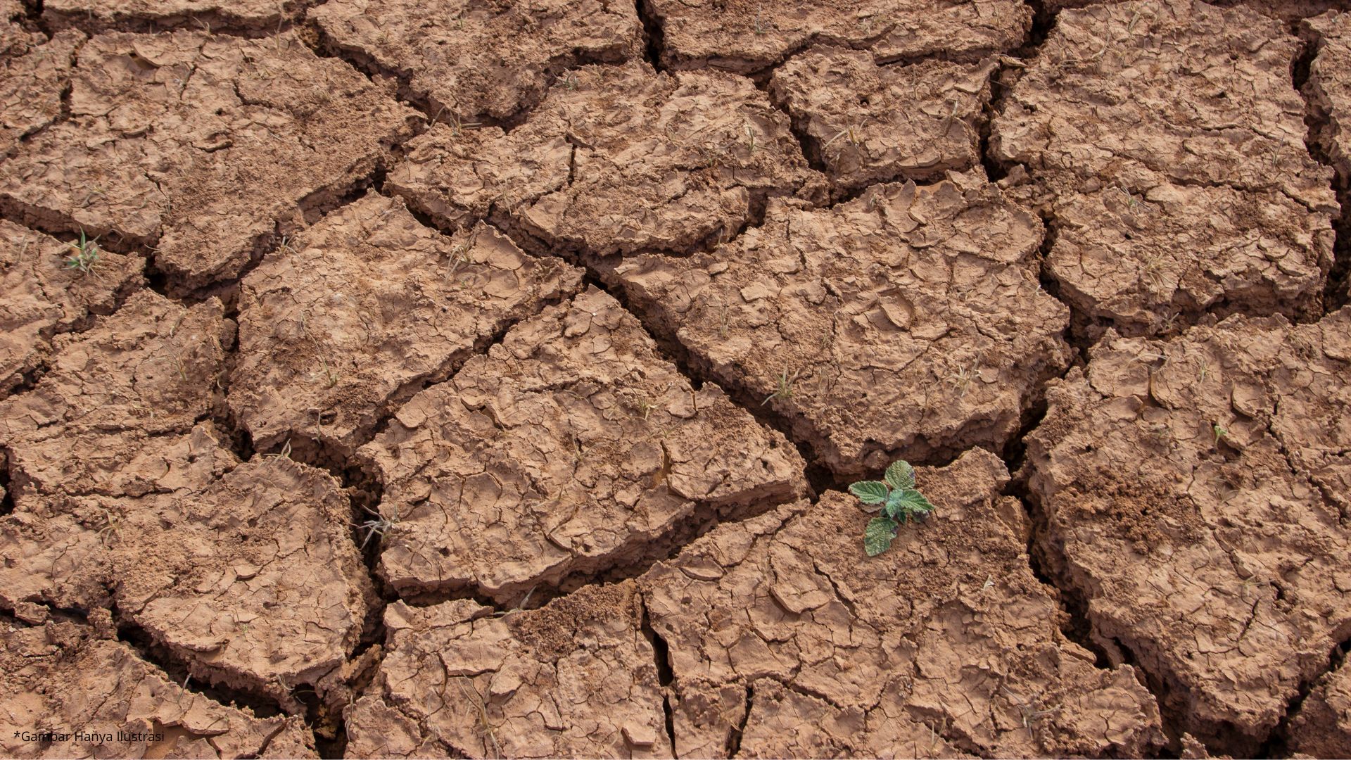 BPBD Kota Cimahi Bersiap Hadapi Ancaman Kekeringan Imbas Fenomena El Nino