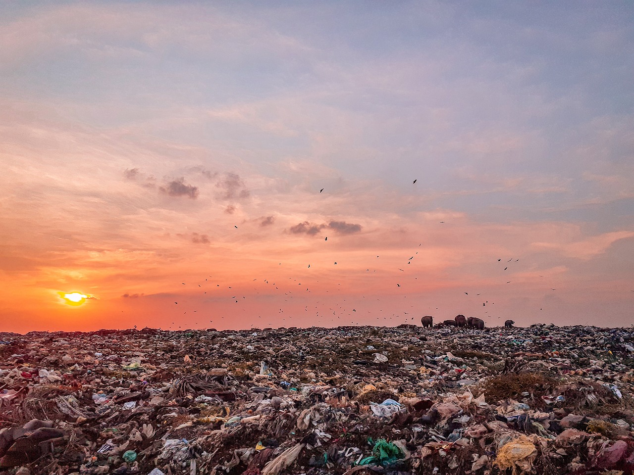 Pemkot Cimahi Siapkan Cara Atasi Pembatasan Pembuangan Sampah di TPA Sarimukti