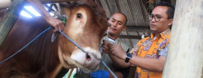 Jangan Konsumsi Hewan Ternak Tak Sehat!