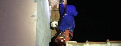 Peran Penting Damkar Kota Cimahi dalam Penanganan Sarang Tawon