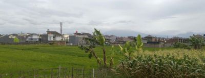 Cimahi Berencana Buat Lahan Abadi Pertanian