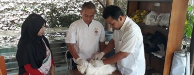 Dispangtan Kota Cimahi Gelar Vaksinasi Massal Rabies dan Flu Burung Bagi Hewan Peliharaan