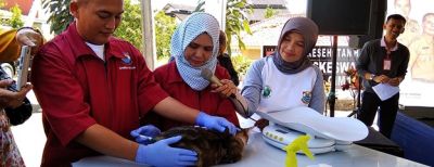 Vaksin Rabies Gratis di Cimahi Segera Dimulai, Catat Tanggalnya