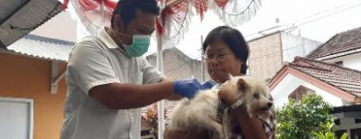Dispangtan Kota Cimahi Gelar Vaksin Flu Burung dan Rabies Untuk Cegah Penularan Penyakit Hewan