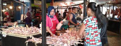 Soal Daging Ayam, Pemkot Tunggu Respon Bulog