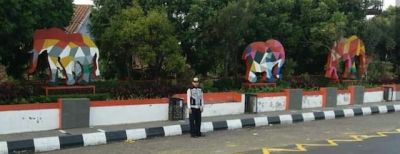 Garis Kuning Bergigi ini Bisa Buat Anda Kena Tilang