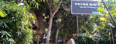 Menenongk Posko Bibit di Kota Cimahi, Ada Puluhan Jenis Pohon