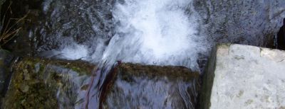 Cimahi Berharap Program SAIIG Berlanjut