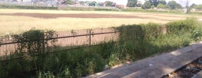 Perda Stadion Sangkuriang Tunggu Persetujuan DPRD Kota Cimahi