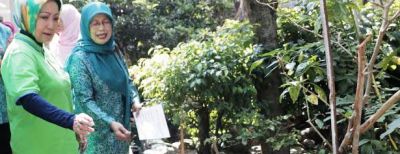 Walikota Pantau Persiapan Lomba P2WKSS