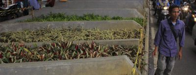 Perbanyak Taman dan RTH