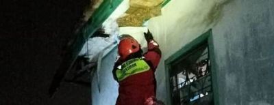 Aksi Damkar Cimahi Tangani Tawon Paling Berbahaya