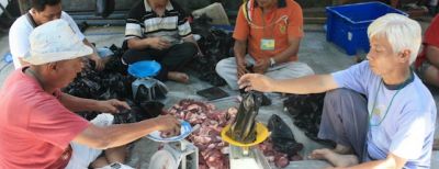 Jumlah Hewan Kurban Idul Adha 2018 Meningkat di Mesjid Agung Cimahi