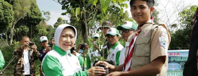 Tingkatkan Penghijauan, KLH Cimahi Galakkan Pembibitan Tanaman Keras