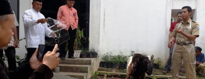 Hewan Kurban Bakal Diperiksa