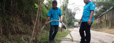 Pemeliharaan Pohon Terus Dilakukan
