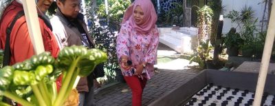Media Tanam Hidroponik Lebih Menguntungkan Bagi Petani